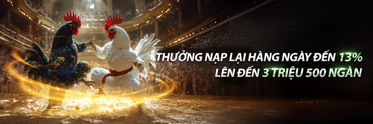 Đá gà trực tiếp ngày 27/6 với không khí sôi động